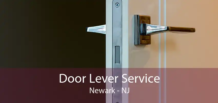 Door Lever Service Newark - NJ